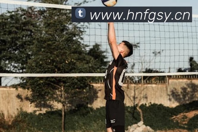 世界杯中国官网平台生态图